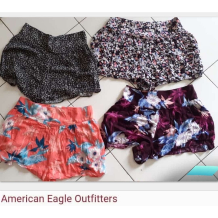 American Eagle 3