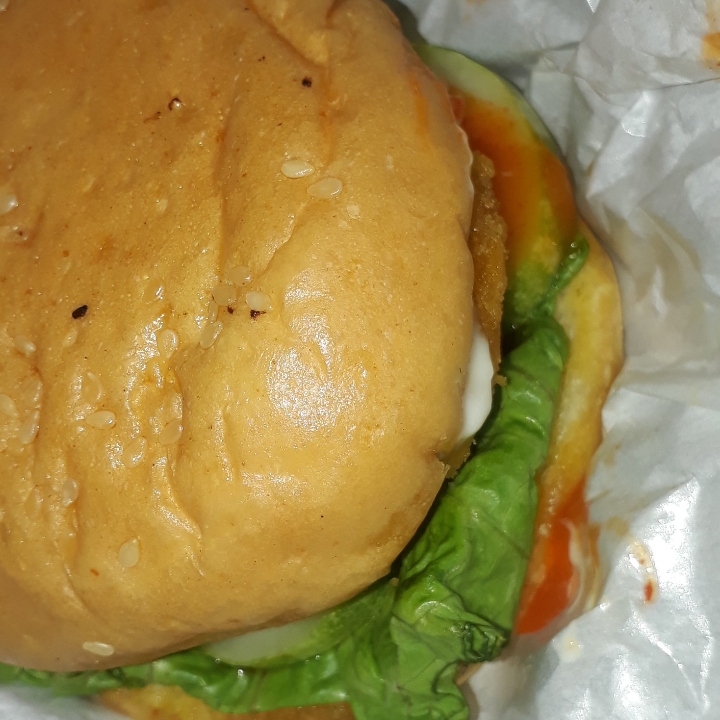 Aneka Burger 2