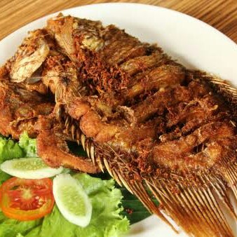 Aneka Ikan