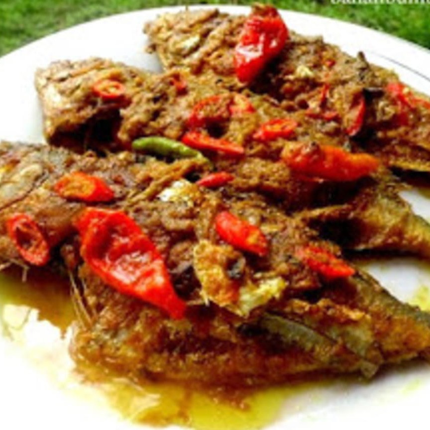 Aneka Ikan Gembung