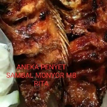 Aneka Penyet Sambaol Monyor Mb Rita 3