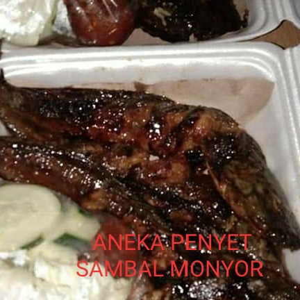 Aneka Penyet Sambaol Monyor Mb Rita 5