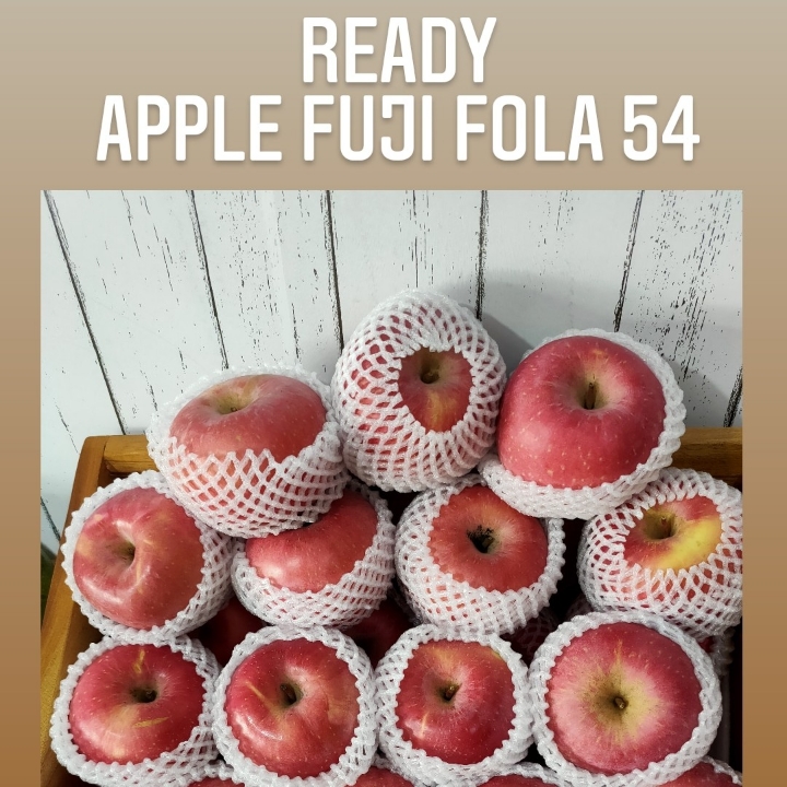 Apple Fuji Fola 88 54