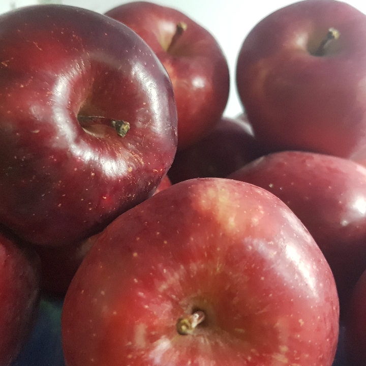 Apple Red Washington