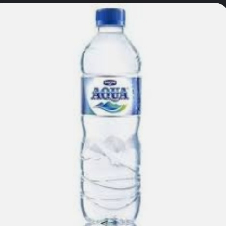 Aqua Botol 600ml