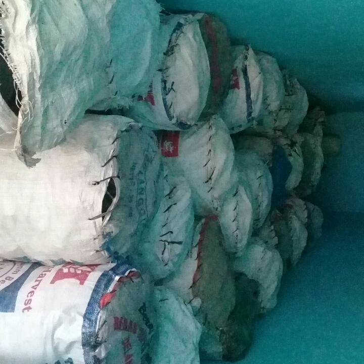 Arang Kayu Akasia Pulelegaran