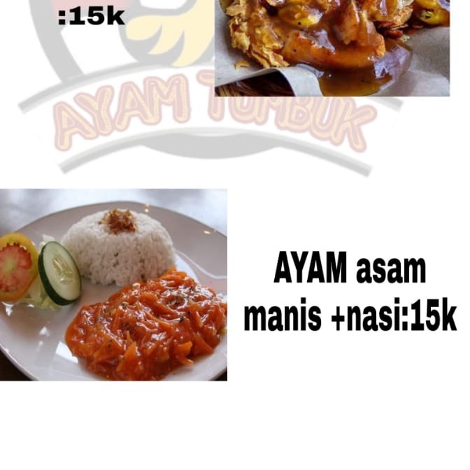 Ayam  Nasi 2