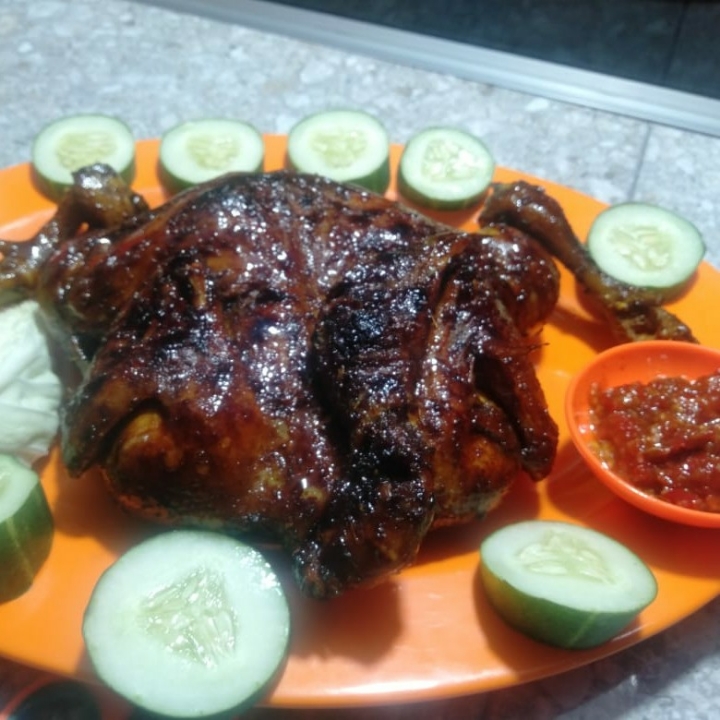 Ayam 1 Ekor