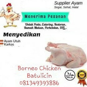 Ayam Beku Segar