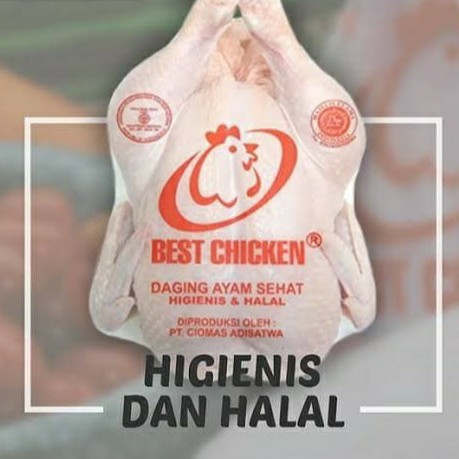 Ayam Beku Segar Halal