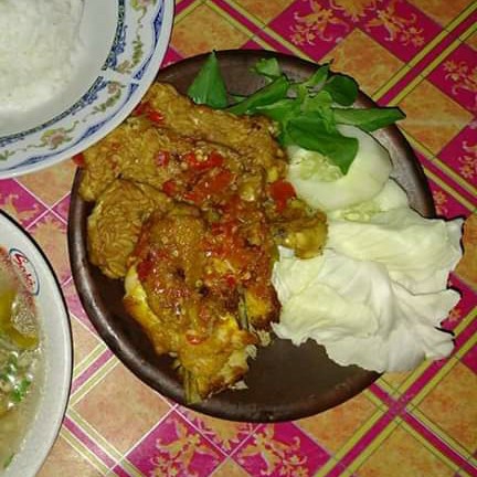 Ayam Biasa