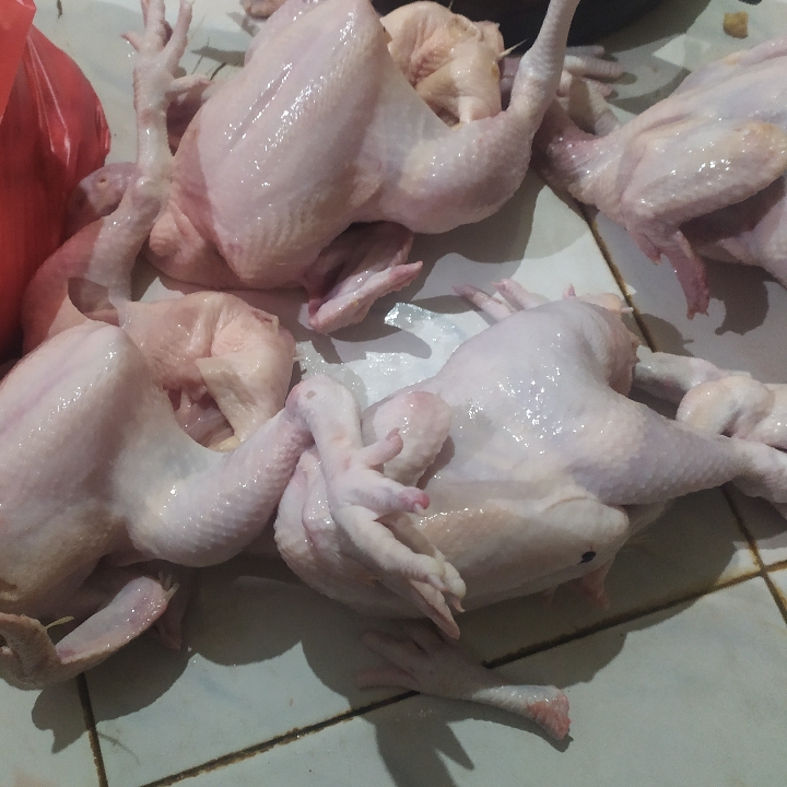 Ayam Boiler Uk 1000-1300 Ons