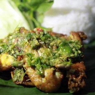 Ayam Ijo