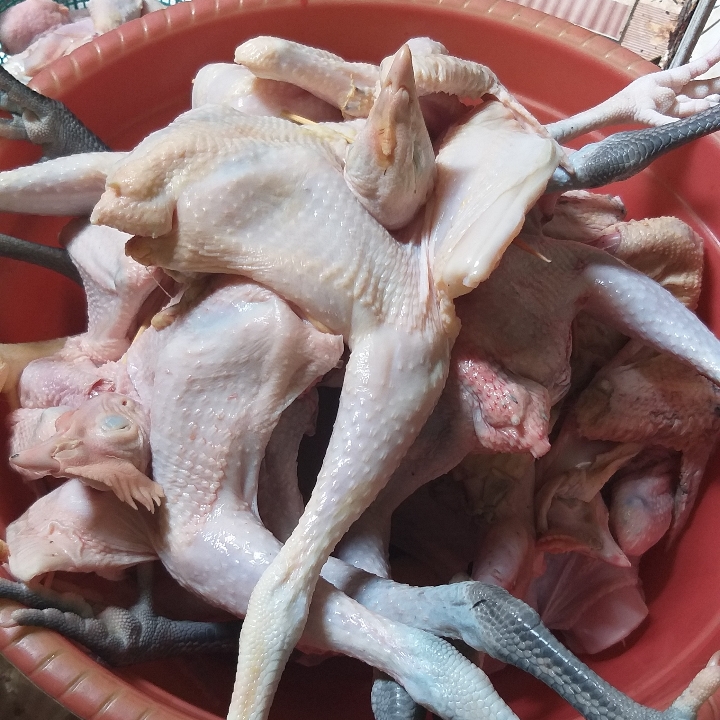 Ayam Kampung Betetan Bersih