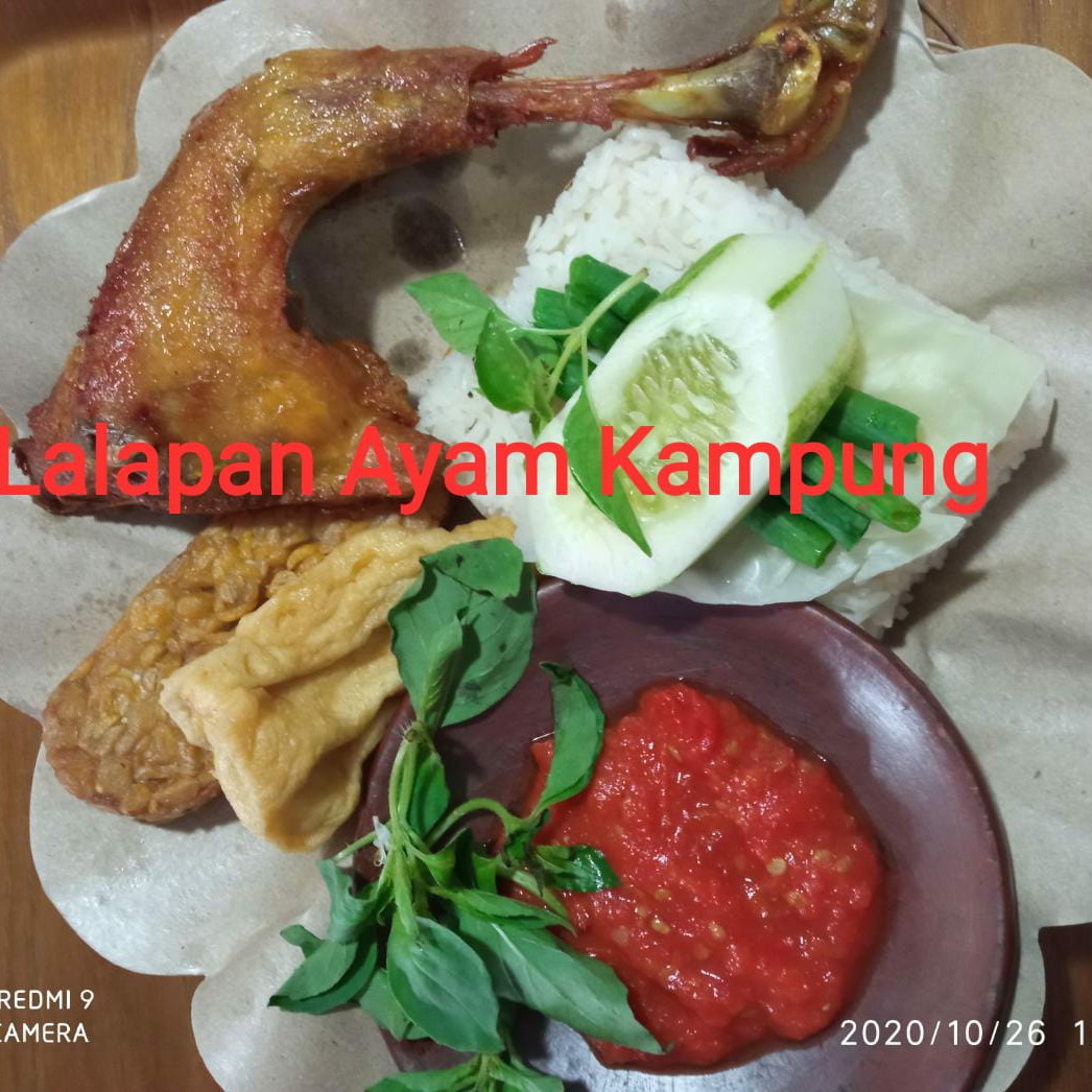 Ayam Kampung Telur