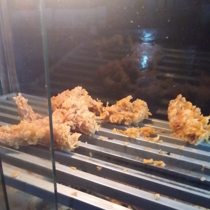 Ayam Krispy