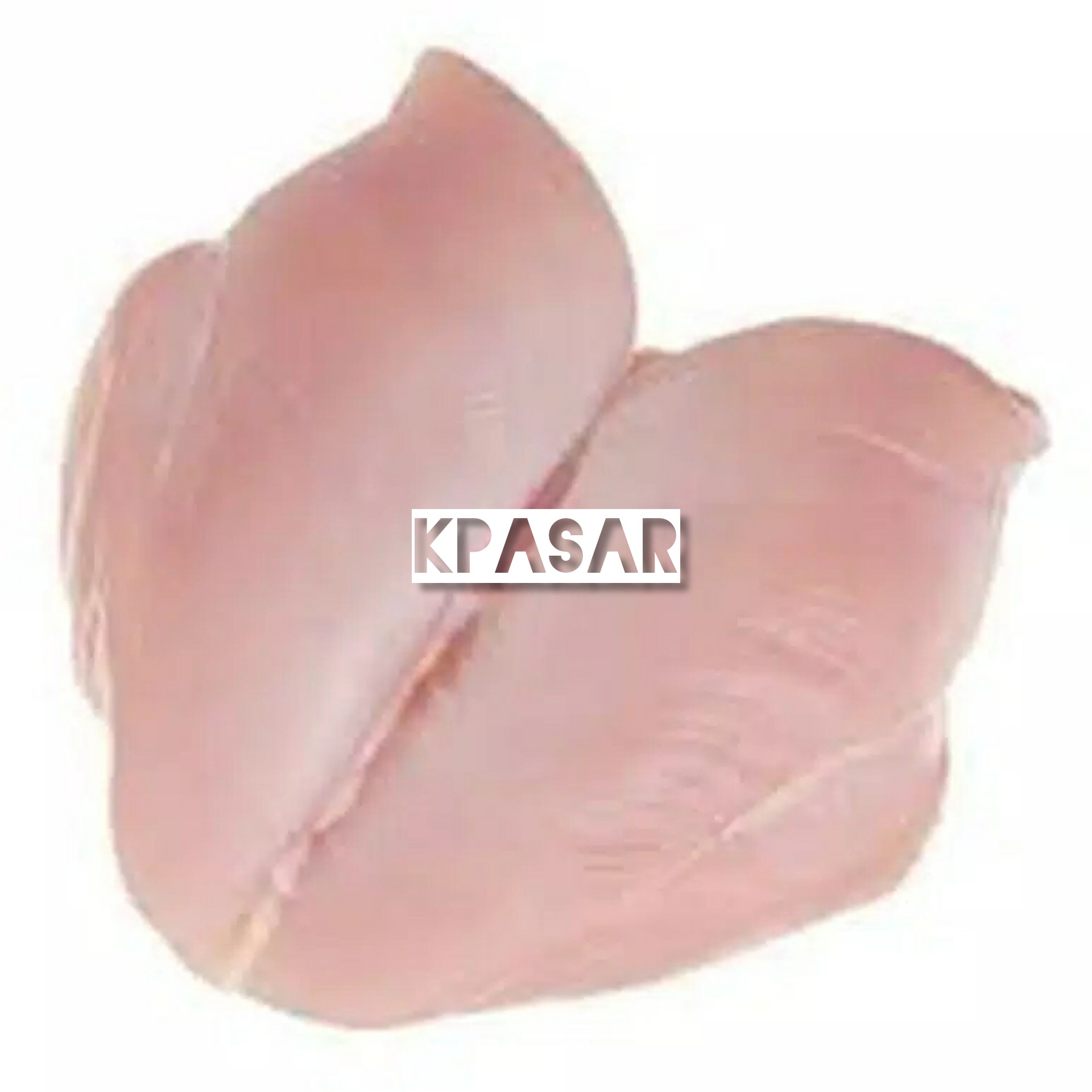 AYAM NEGRI DADA FILET 500 GRAM