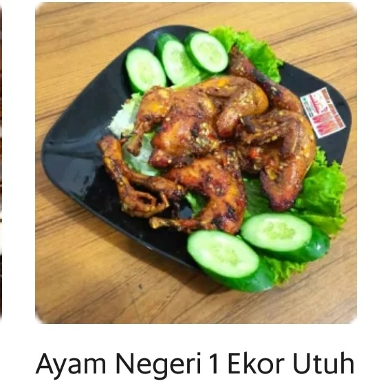 Ayam Negri Satu Ekor