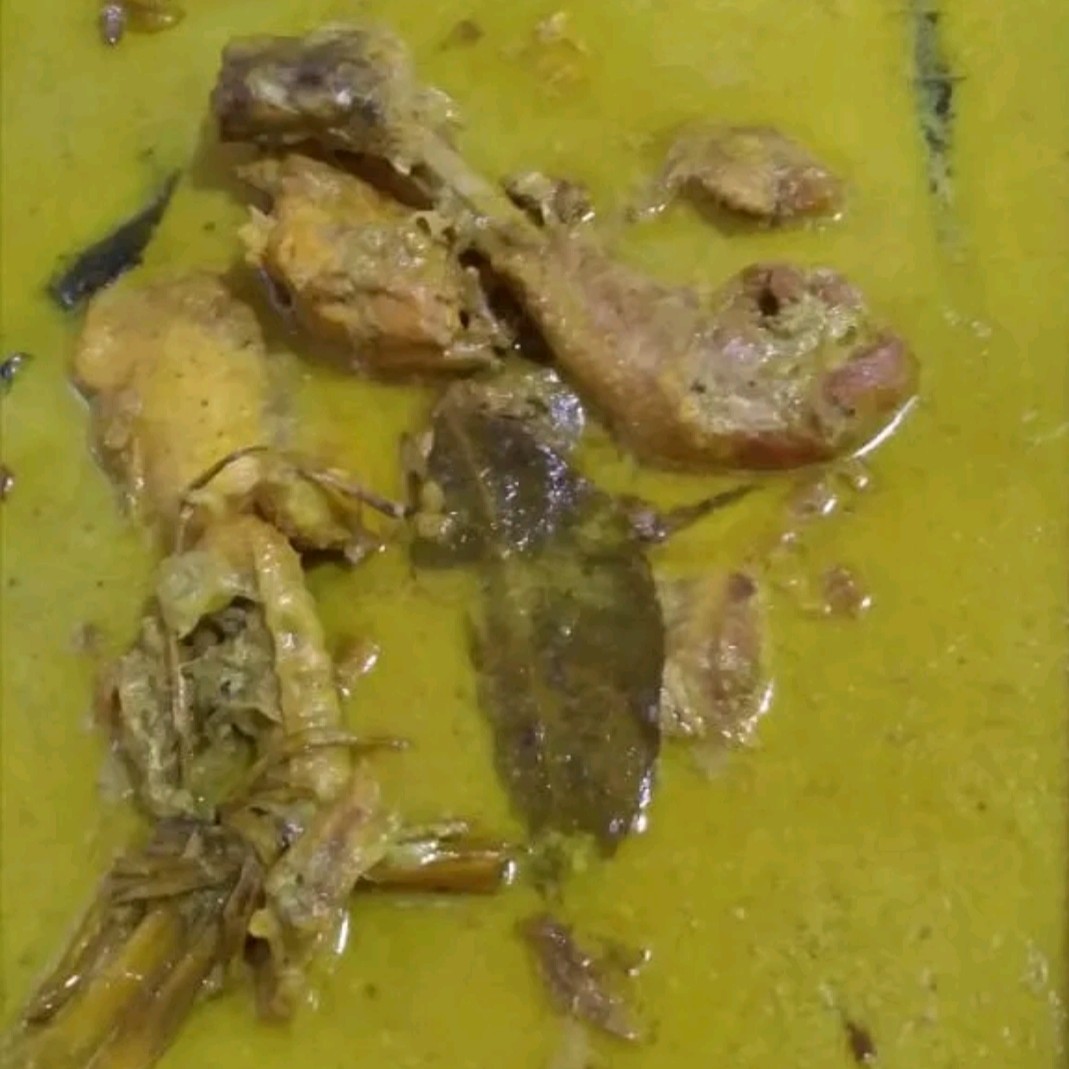 Ayam Opor - Ayam Kampung