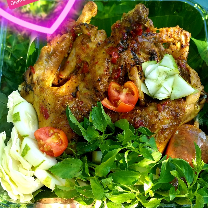 Ayam PangKep Kampung