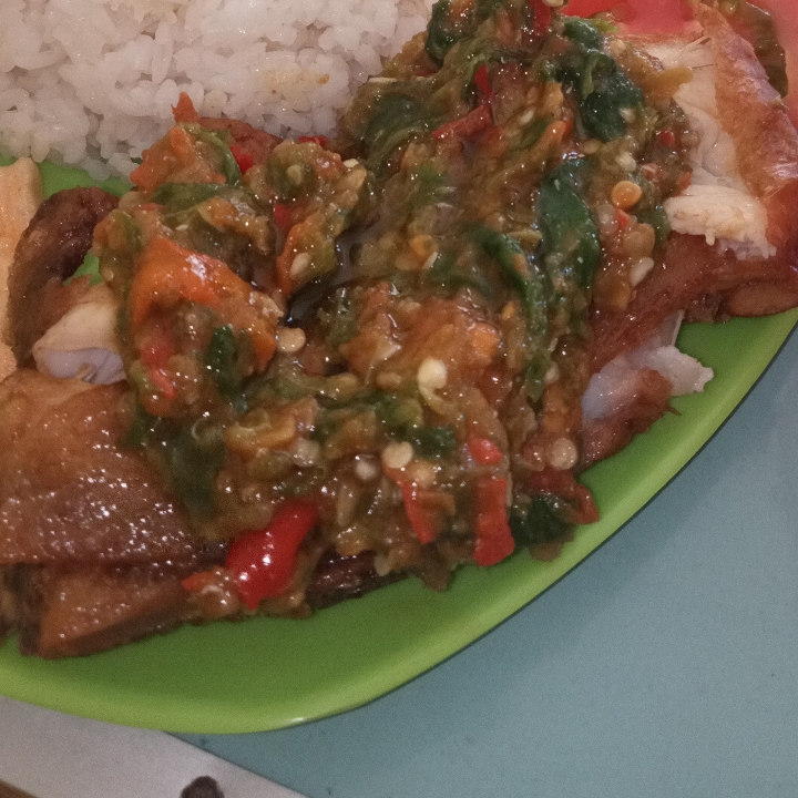 Ayam Tuko Ijo