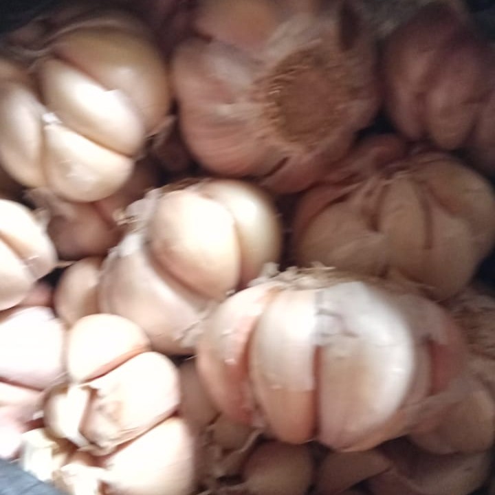 BAWANG PUTIH