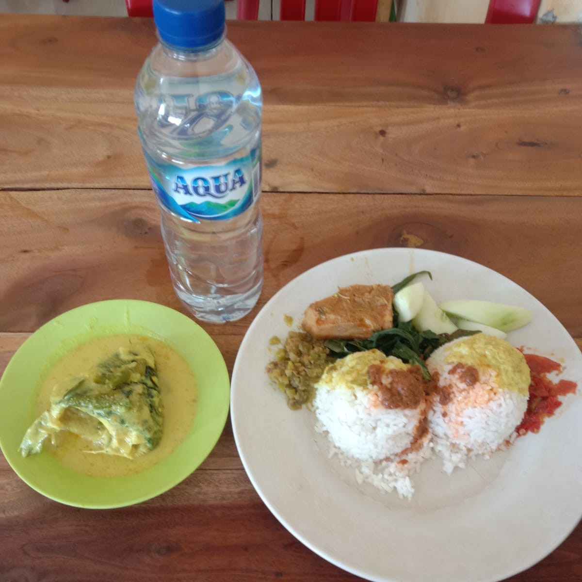 PAKET NASI GULAI IKAN DAN AQUA SEDANG