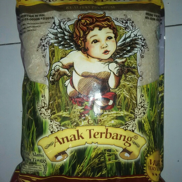 Beras Premium Anak Terbang 5 Kg