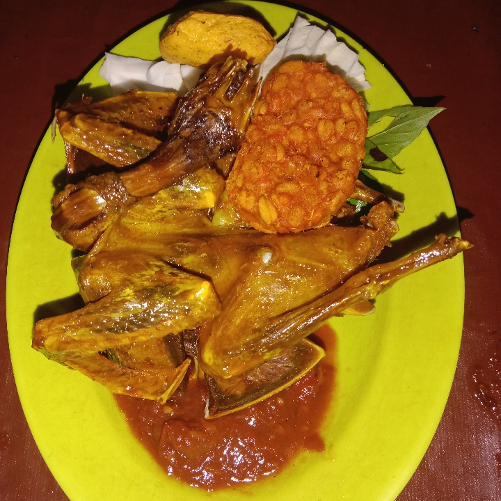 BURUNG DARA GORENG