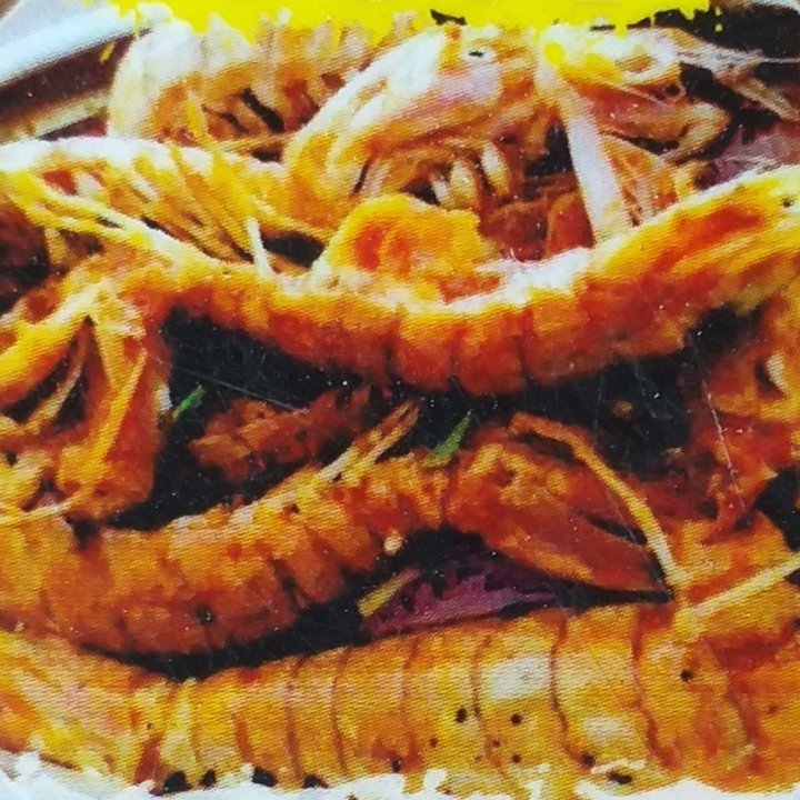 Baby Lobster Udang Ronggeng