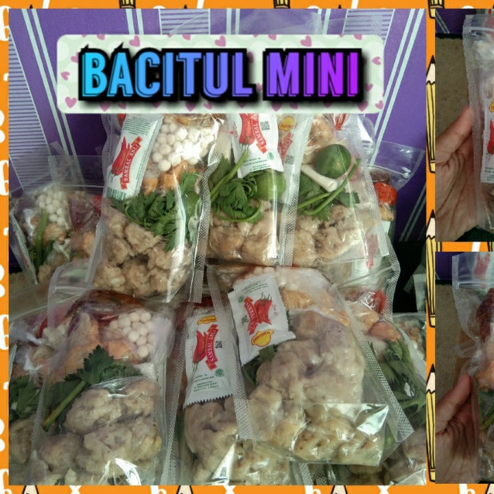 Bacitul Mini