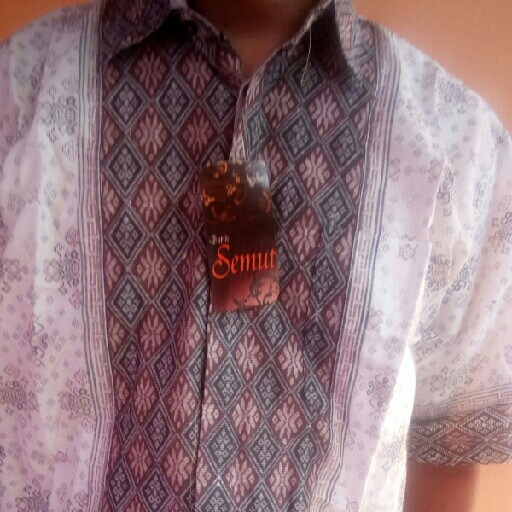 Baju Batik Semut