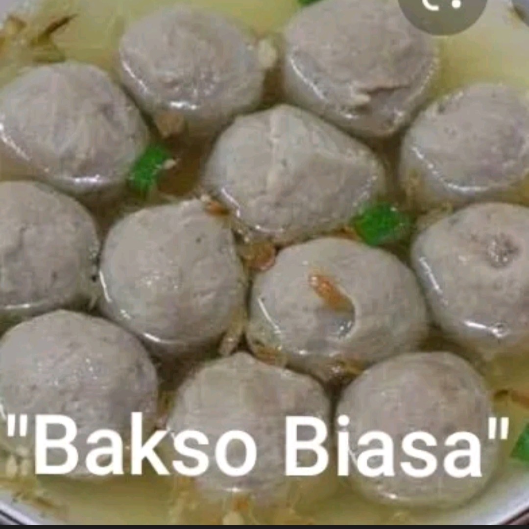 Bakso Biasa