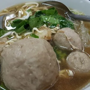 Bakso Biasa