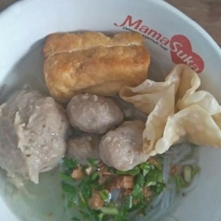 Bakso Biasa