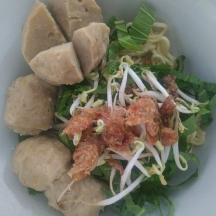 Bakso Biasa