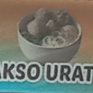 Bakso Urat Dan Kikil 2