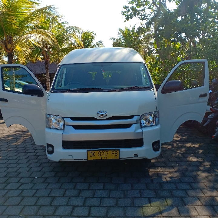 Bali Limousine Car Renthal  4