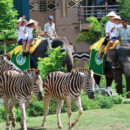 Bali Safari - Marine Park