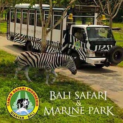 Bali Safari - Marine Park 3