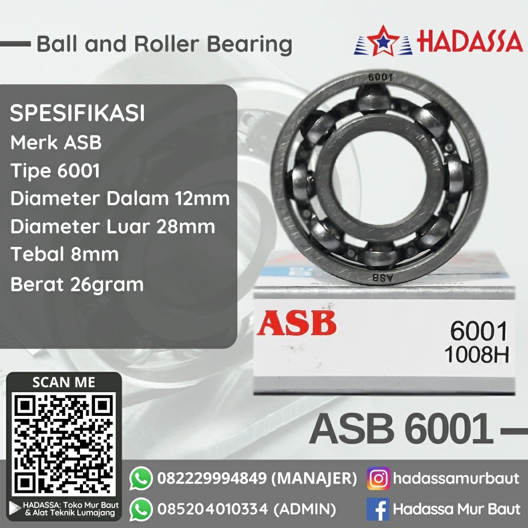 Ball and Roller Bearing ASB 6001