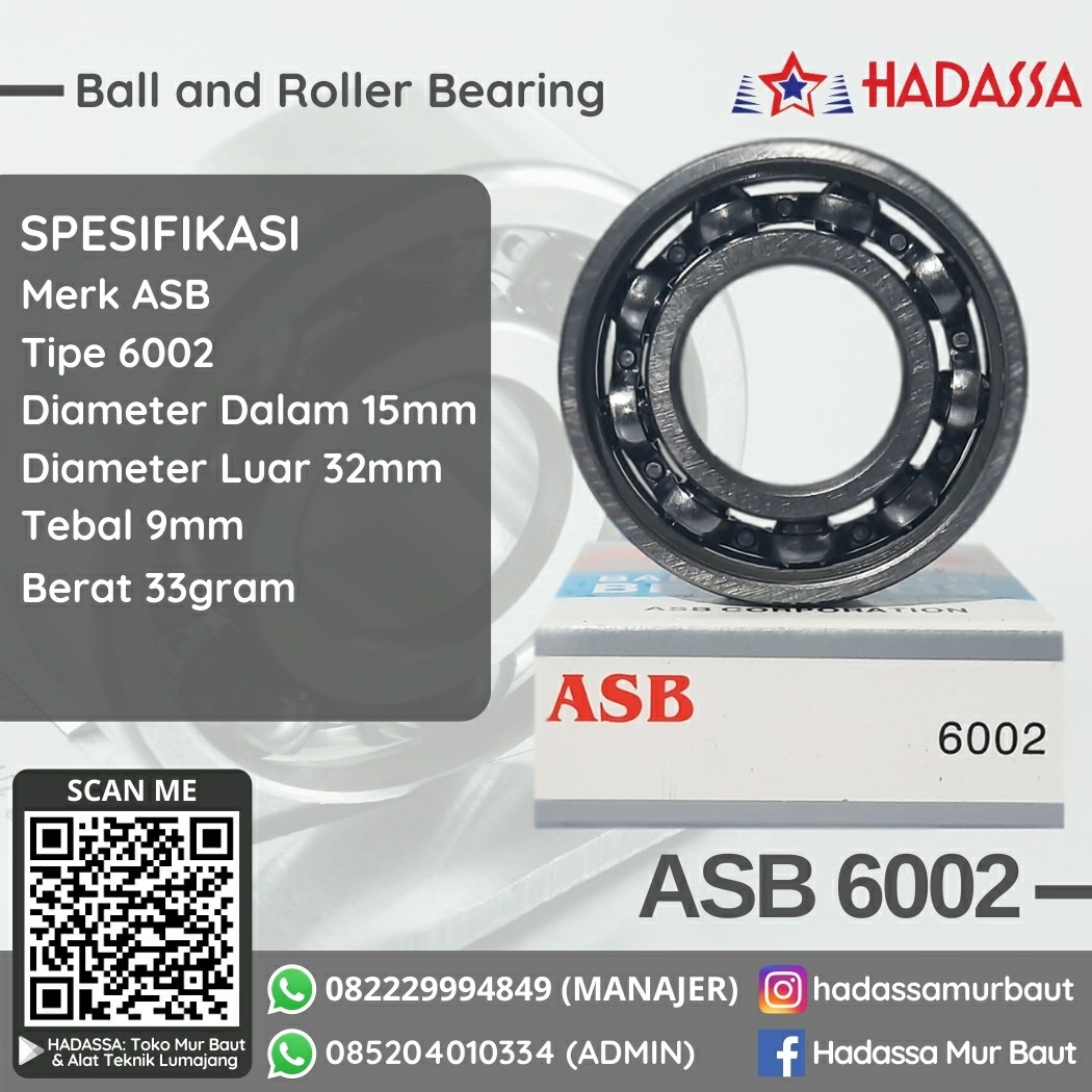 Ball and Roller Bearing ASB 6002