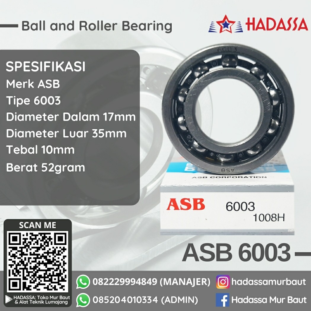 Ball and Roller Bearing ASB 6003