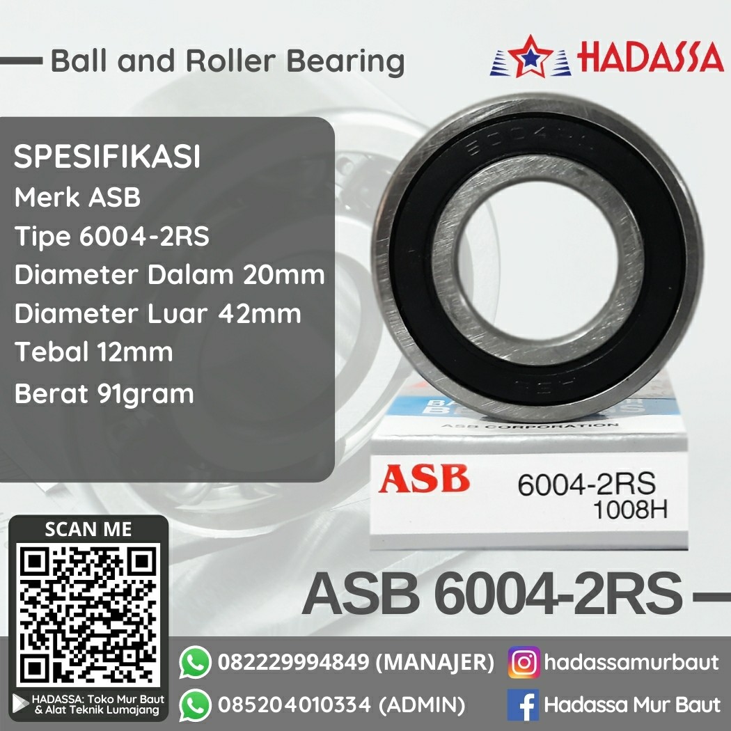 Ball and Roller Bearing ASB 6004-2RS