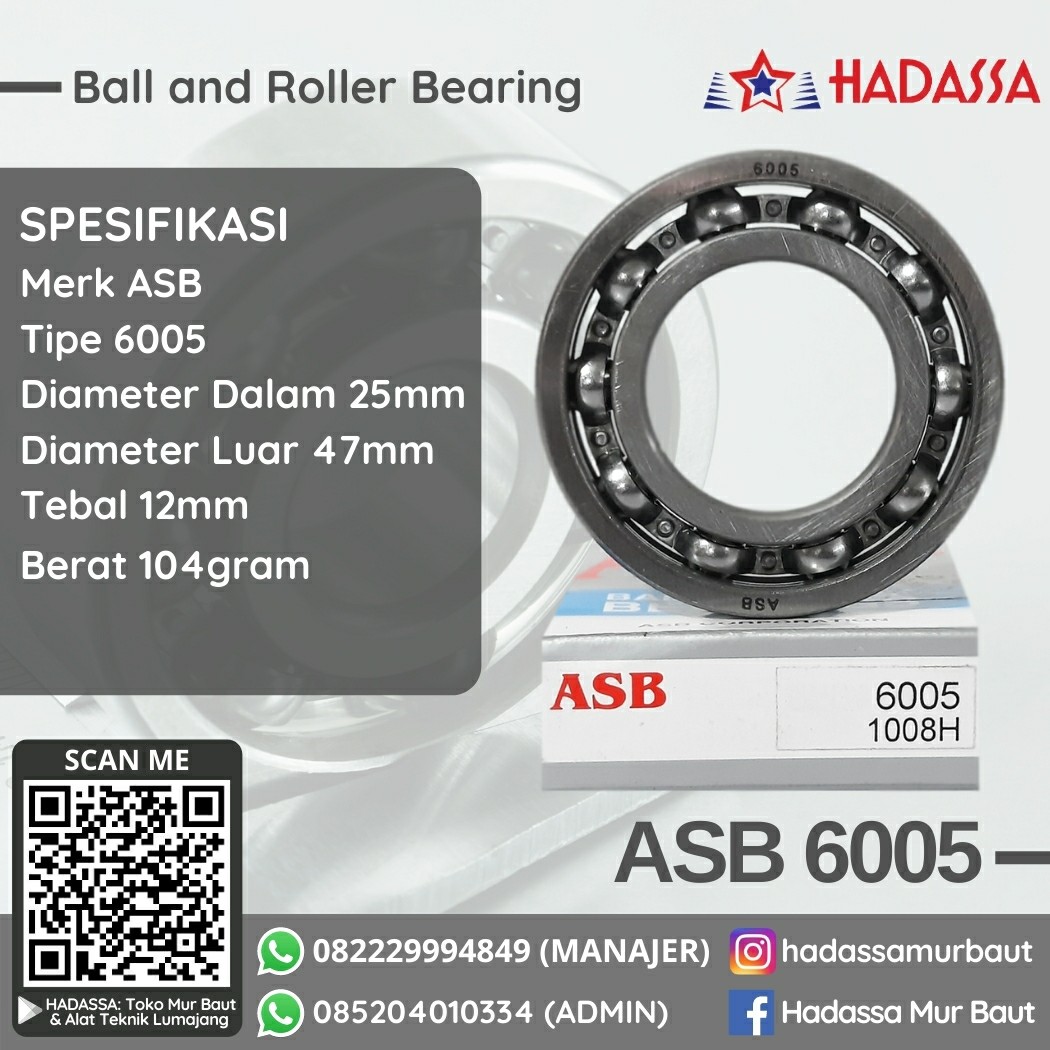 Ball and Roller Bearing ASB 6005