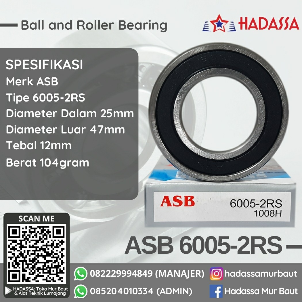 Ball and Roller Bearing ASB 6005-2RS