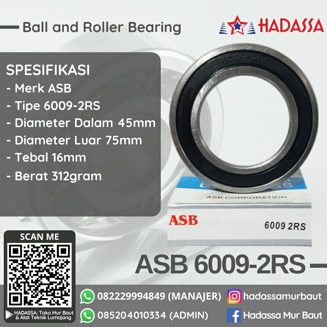 Ball and Roller Bearing ASB 6009-2RS