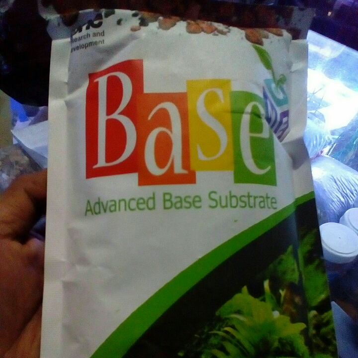 Base One Rumah Bakteri