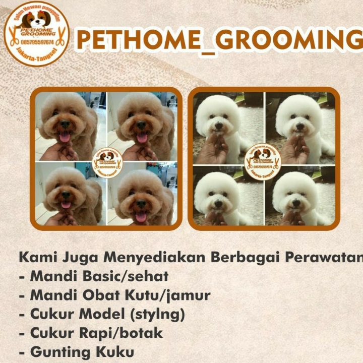 BASIC GROOMING