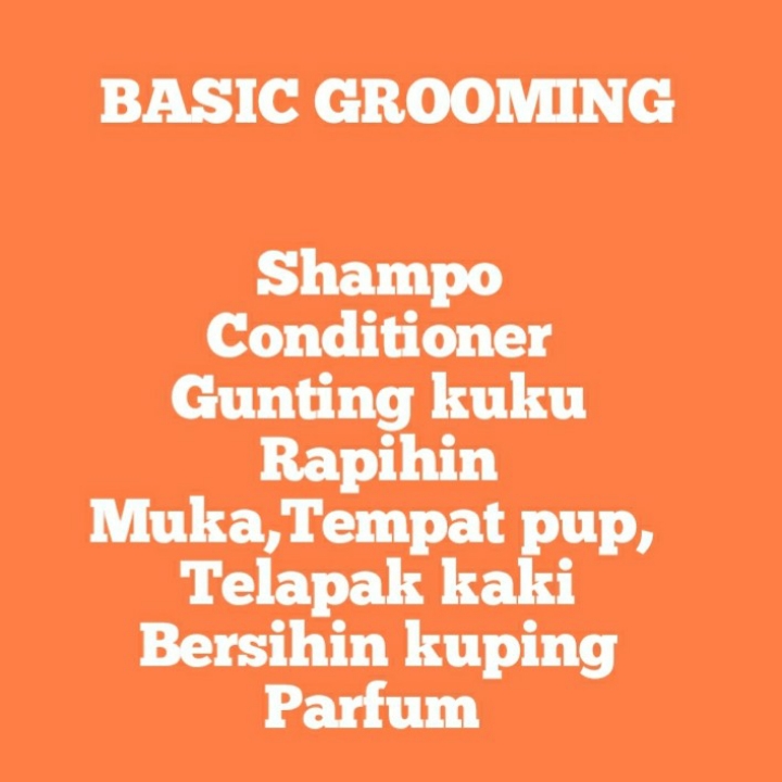 BASIC GROOMING 2